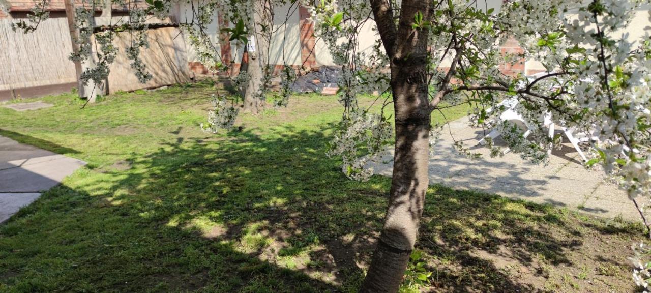 Orsi Apartman / Vendeghaz Kecskemét Exterior foto